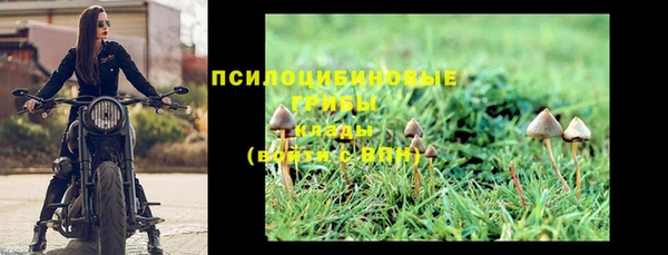 mdpv Арсеньев