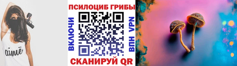 mega рабочий сайт  хочу наркоту  Бабаево  Псилоцибиновые грибы мухоморы 